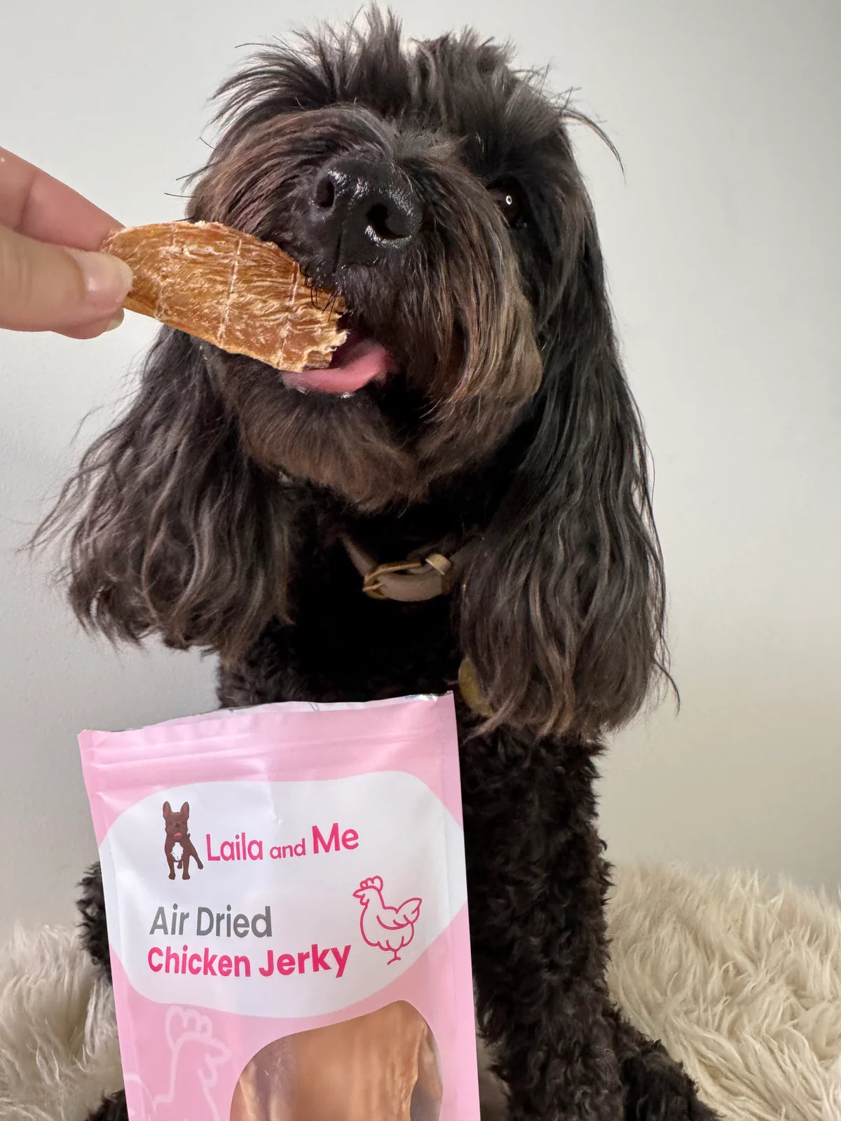 Laila and Me Dog Treat Chicken Jerky 75g