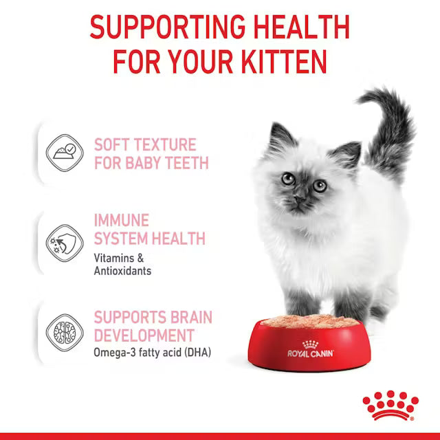 ROYAL CANIN Kitten Loaf Wet Cat Food 85g x 12
