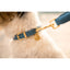 FuzzYard Life Atelier Dog Collar - French Blue
