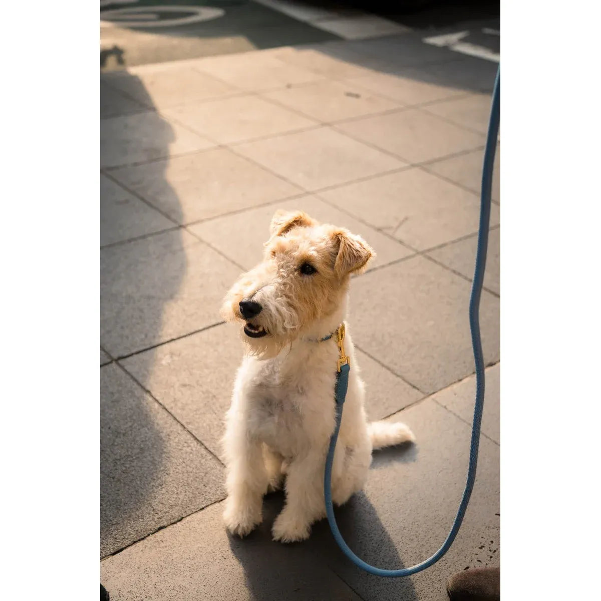 FuzzYard Life Atelier Dog Rope Lead - French Blue