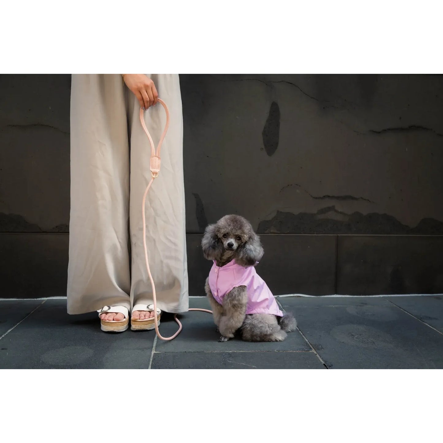 FuzzYard Life Atelier Dog Rope Lead - Soft Blush