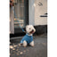 FuzzYard Life Atelier Dog Collar - French Blue