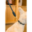 FuzzYard Life Atelier Dog Rope Lead - Slate Grey