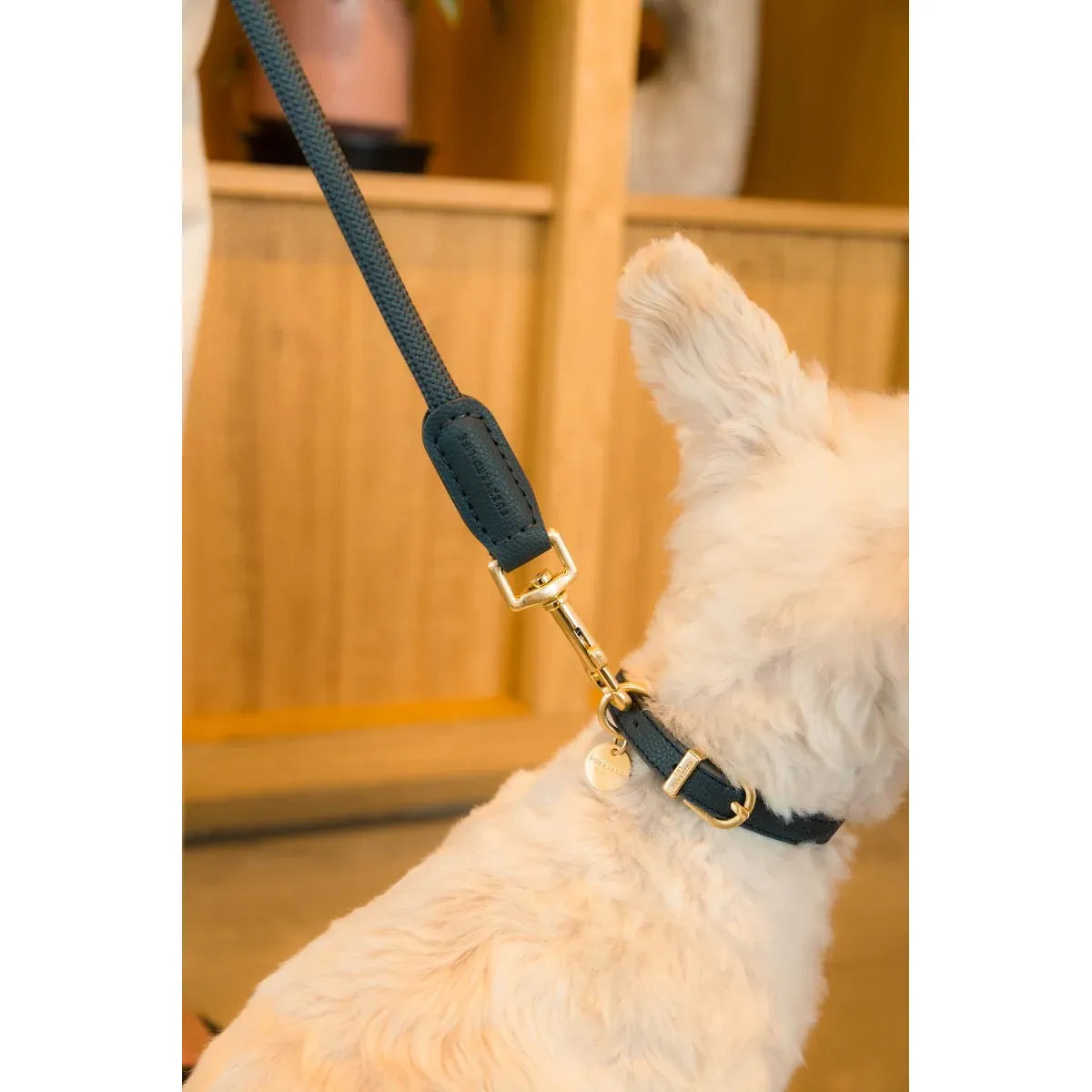 FuzzYard Life Atelier Dog Collar - Slate Grey