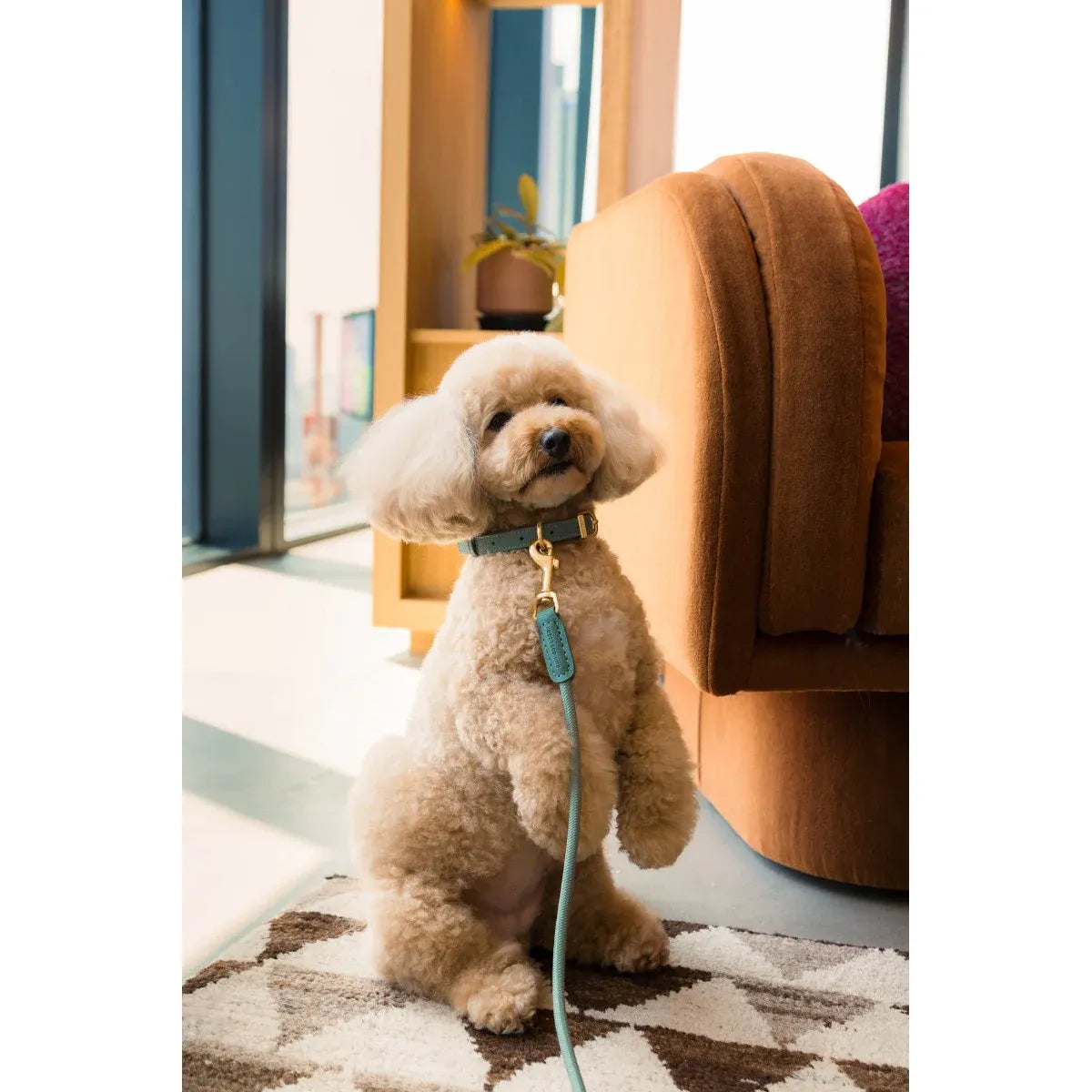 FuzzYard Life Atelier Dog Collar - Myrtle Green