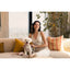 FuzzYard Life Atelier Dog Collar - Soft Blush