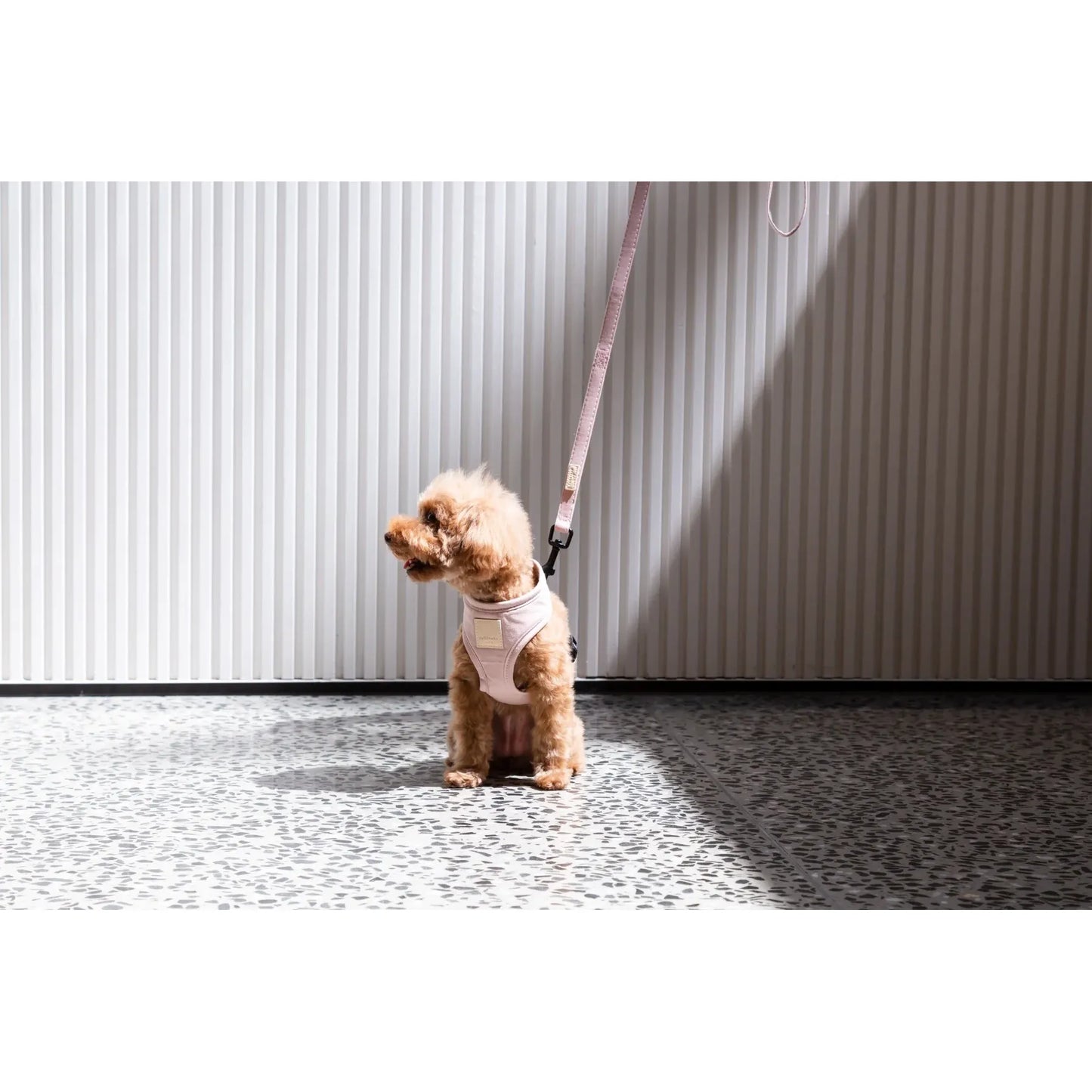 FuzzYard Life Dog Harness - Soft Blush