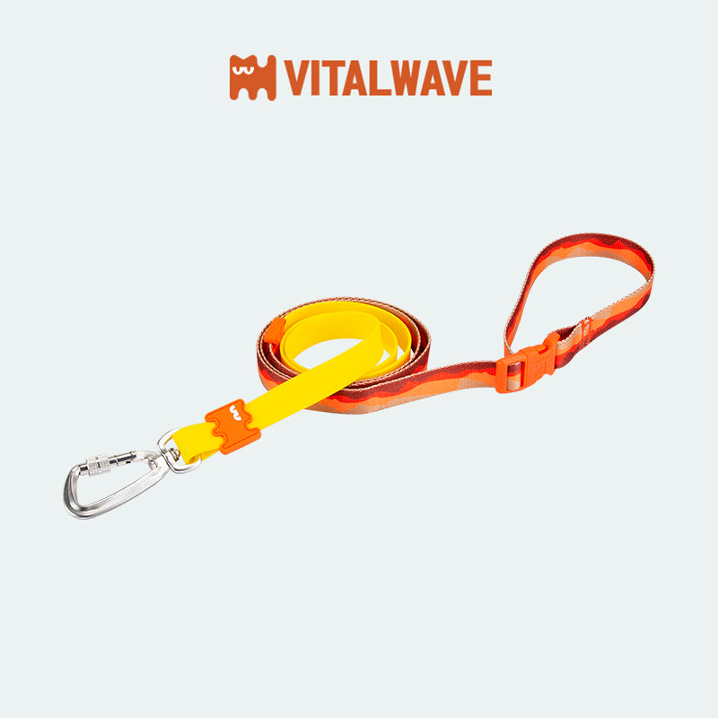 VITALWAVE Tri-Flex Dog Leash