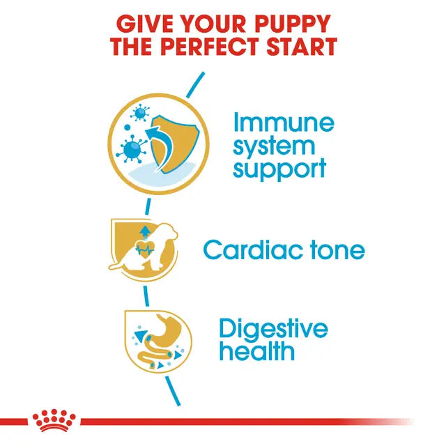ROYAL CANIN Cavalier King Charles Puppy Dry Dog Food 1.5Kg