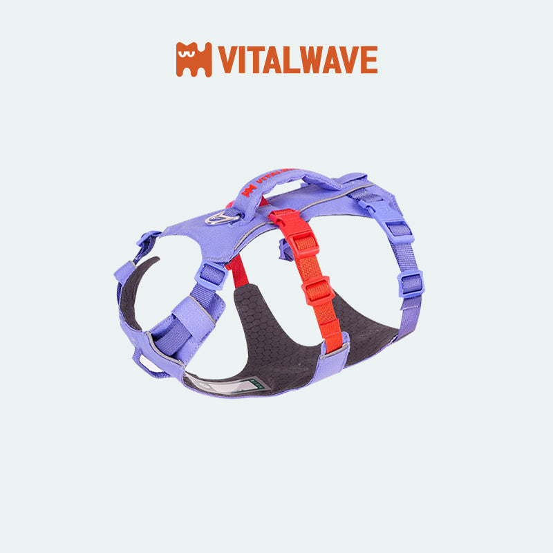 VITALWAVE FeatherGrip Dog Harness