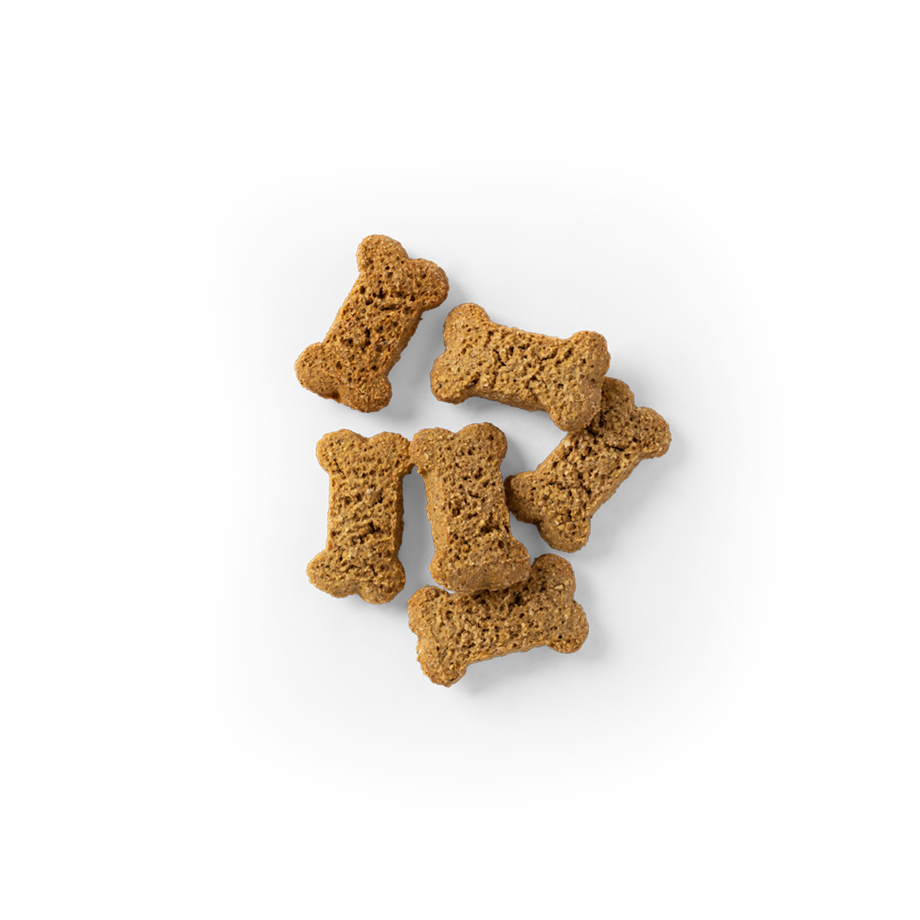 SavourLife Dog Treats Biscuits Australian Beef Flavour 500g