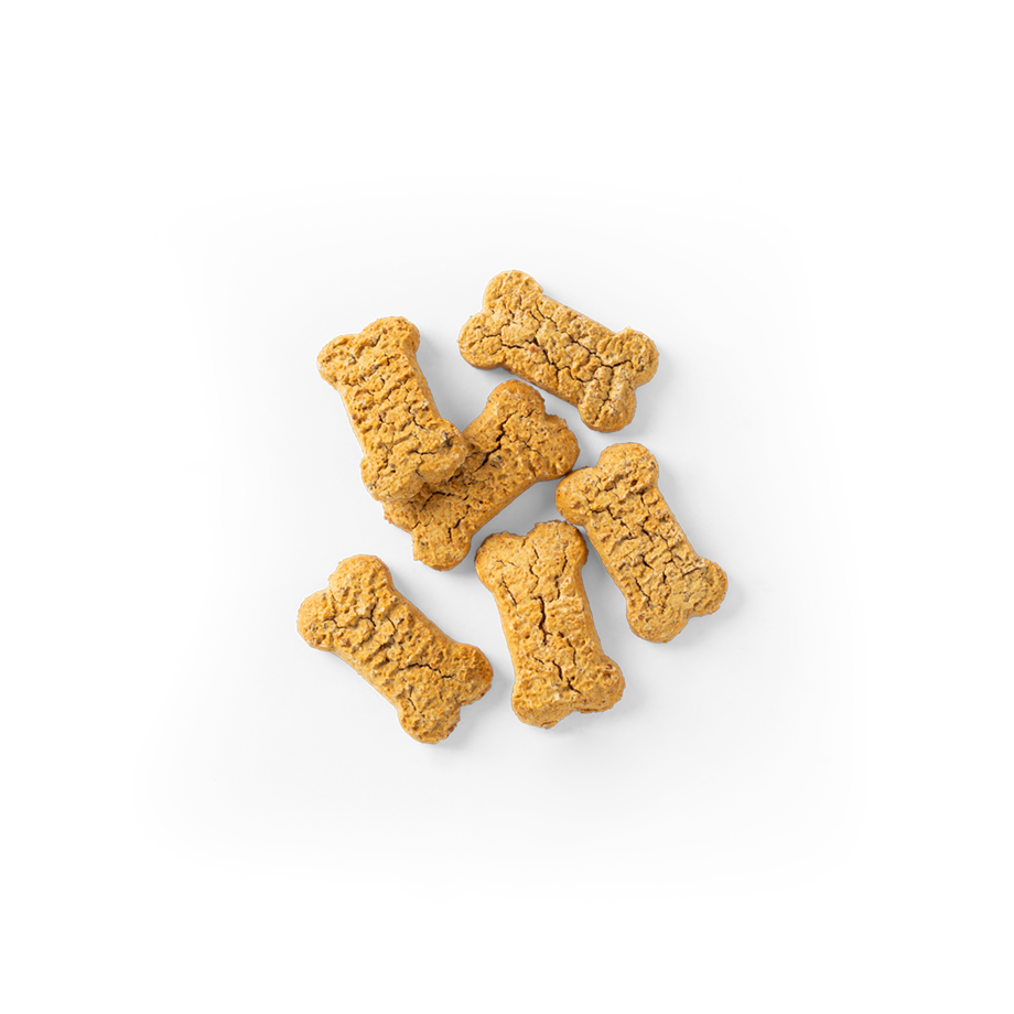 SavourLife Dog Treats Biscuits Australian Salmon Flavour 425g