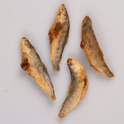 Black Hawk Dog Treats Freeze Dried Whole Salmon 45g