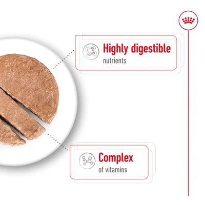 ROYAL CANIN Mini Adult Loaf Dog Wet Food Can 195g x 12