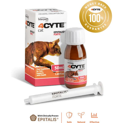 4CYTE™ Epiitalis® Forte Cat 50ml