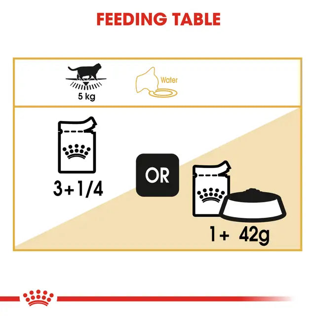 ROYAL CANIN British Shorthair Gravy Adult Wet Cat Food 85g x 12