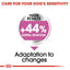 ROYAL CANIN Adult Dry Dog Food Maxi Relax Care 9Kg