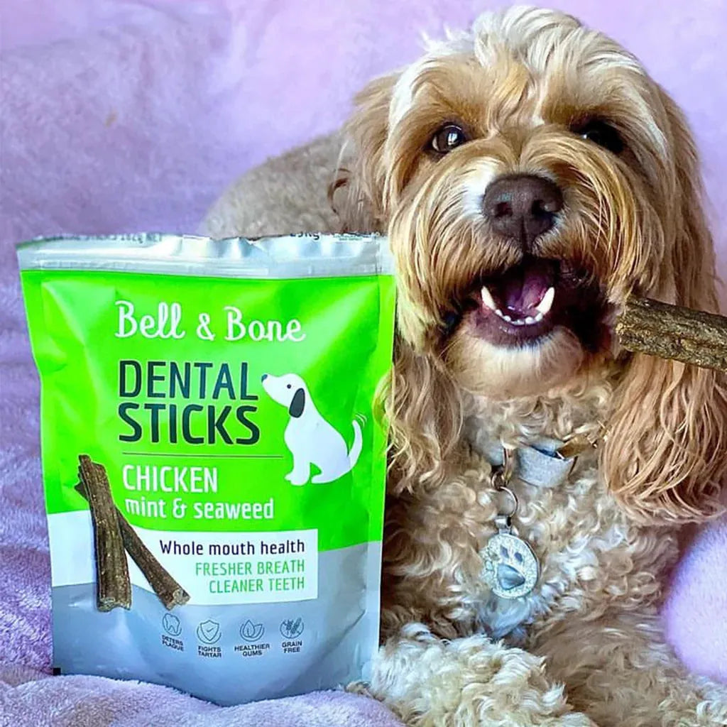 Bell and Bone Dog Dental Sticks - Chicken, Mint and Seaweed