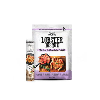 Absolute Holistic Liquid Bisque Treats For Cats & Dogs | Chicken & Lobster 12g x 5