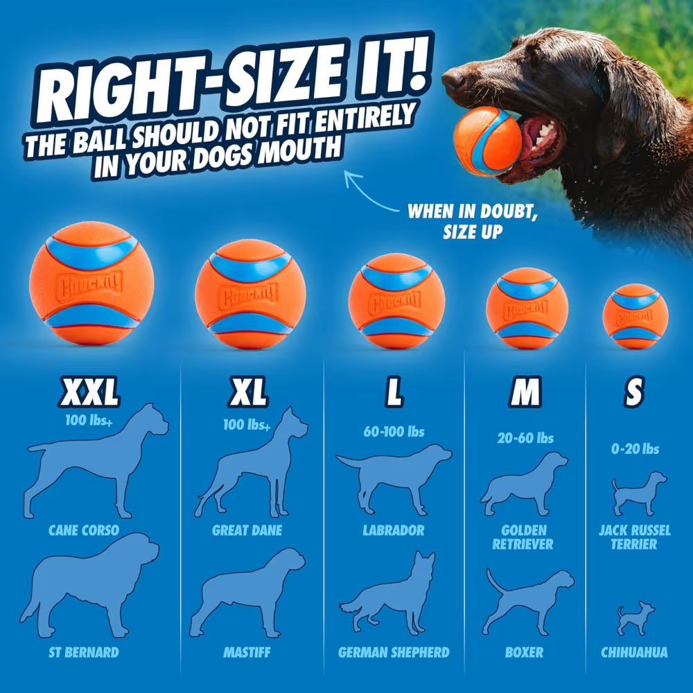 Chuckit! Dog Toy Ultra Balls Medium 2 Pack