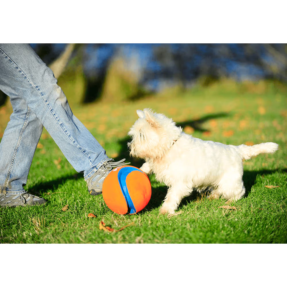 Chuckit! Dog Toy Kick Fetch Small