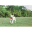Chuckit! Dog Toy Ring Chaser Launcher