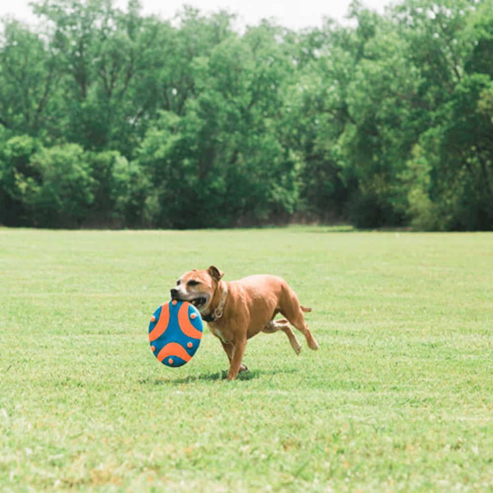 Chuckit! Dog Toy Whistle Flight