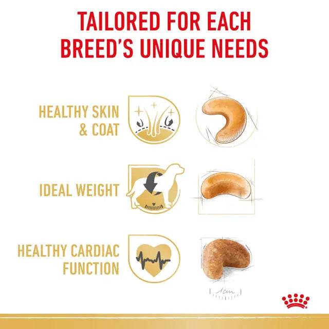 ROYAL CANIN Cocker Spaniel Adult Dog Dry Food