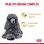 ROYAL CANIN Poodle Adult 8+ Dry Dog Food 1.5kg