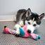 KONG Dog Toy Knots Twists Assorted Character