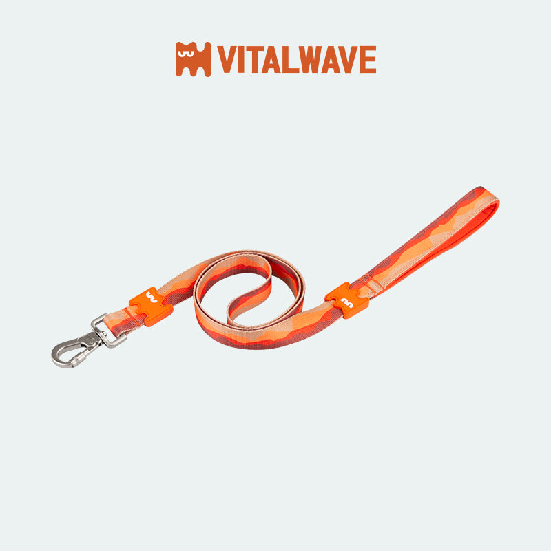 VITALWAVE Gradient Peaks Dog Leash