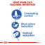 ROYAL CANIN Indoor Adult Dry Cat Food