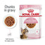 ROYAL CANIN Sterilised Kitten Gravy Wet Cat Food 85g x 12