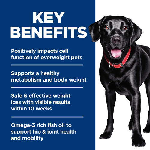 Hill's Science Diet Adult Dog Food Perfect Weight & Joint Support Large Breed Chicken & Brown Rice Recipe 11.3Kg