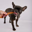 Laila and Me Dog Treat Crocodile Jerky 70g