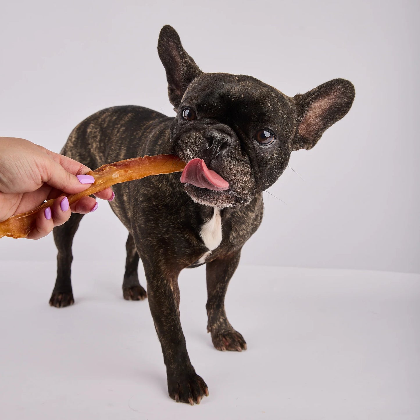 Laila and Me Dog Treat Crocodile Jerky 70g