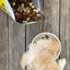 Animals Like Us - Raw Mix 33 with Ocean Fish Dog Food