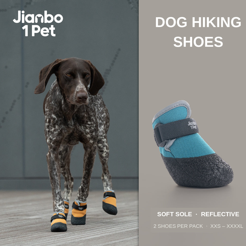 A dog hiking shoe set shown on a dog and as a standalone product shot. The left side features a German shorthaired pointer dog wearing four black and yellow dog boots on a gray floor.