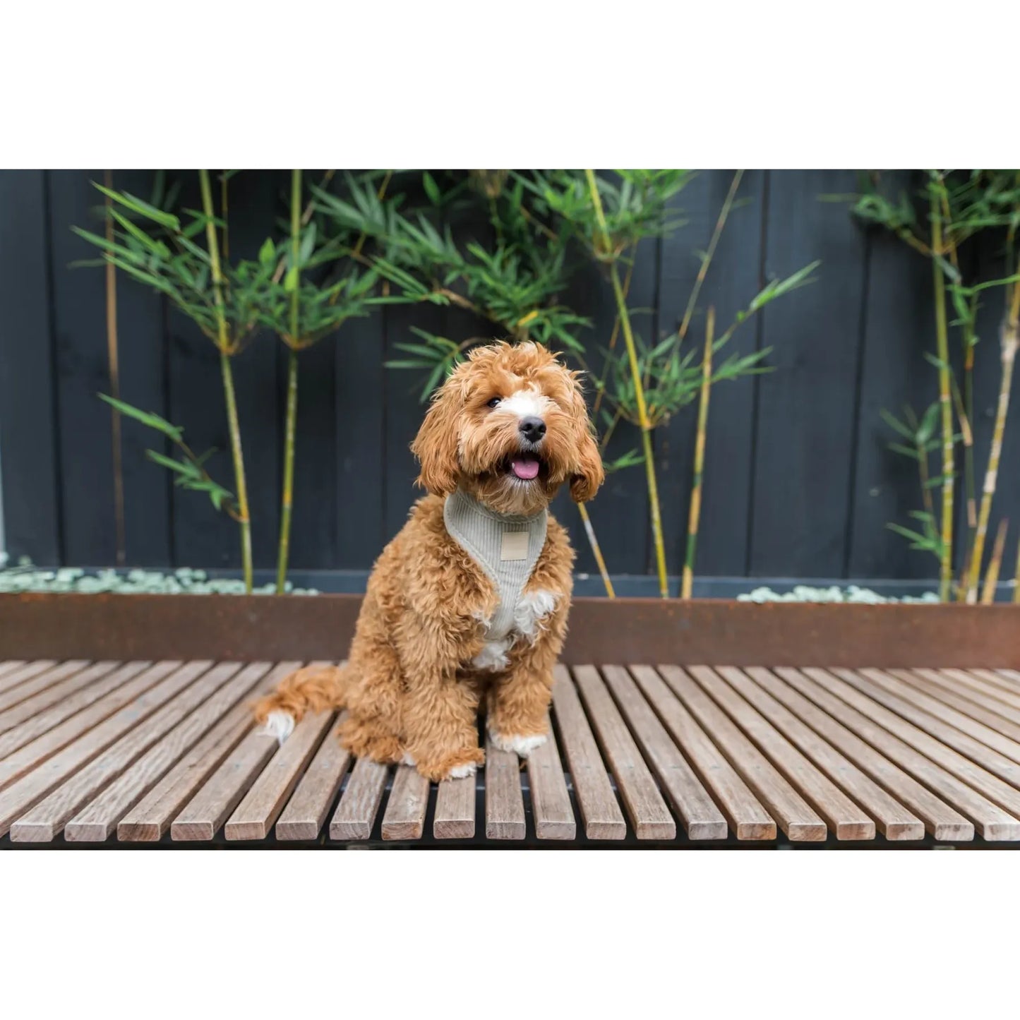 FuzzYard Life Corduroy Dog Harness - Sandstone