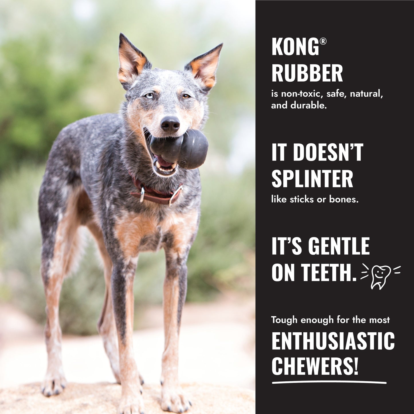 KONG Dog Toy Extreme Black Rubber