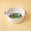 Ceramic Pet Bowl - Frog (Bowl Only)