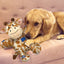 KONG Dog Toy Wild Knots Giraffe