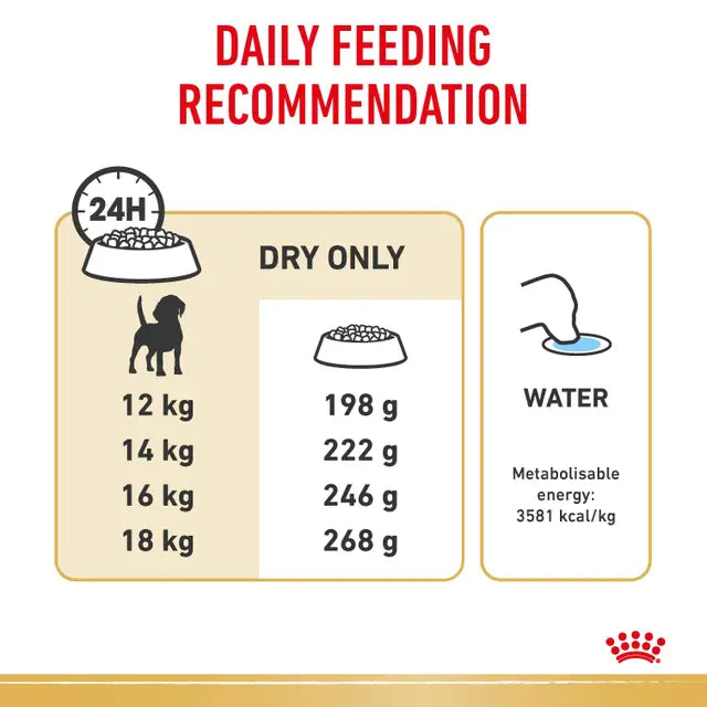 ROYAL CANIN Beagle Adult Dog Dry Food