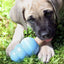 KONG Dog Ziggies Stuffins Puppy Treats
