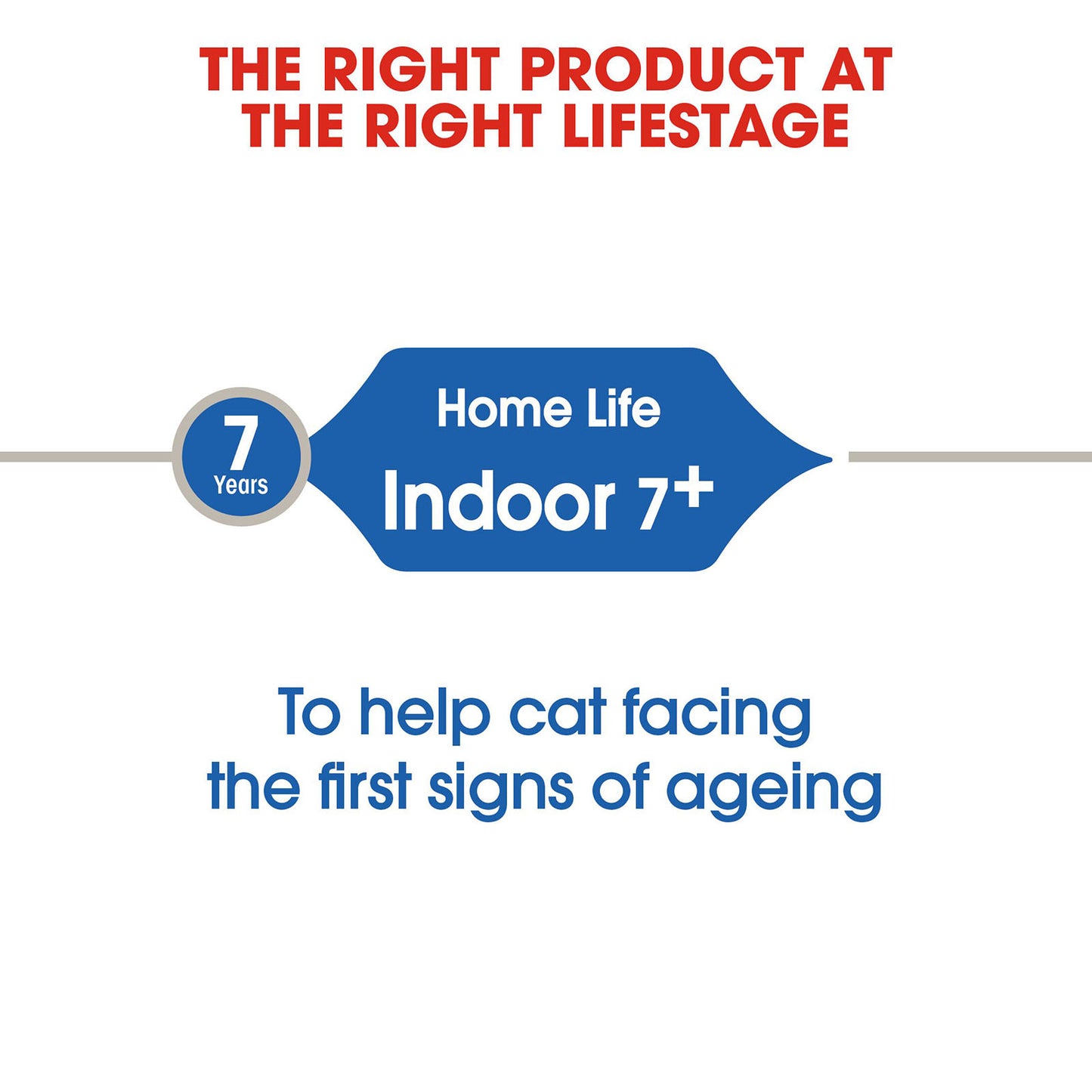 ROYAL CANIN Indoor 7+ Adult Dry Cat Food