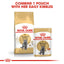 ROYAL CANIN British Shorthair Adult Dry Cat Food