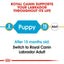 ROYAL CANIN Labrador Retriever Puppy Dog Dry Food