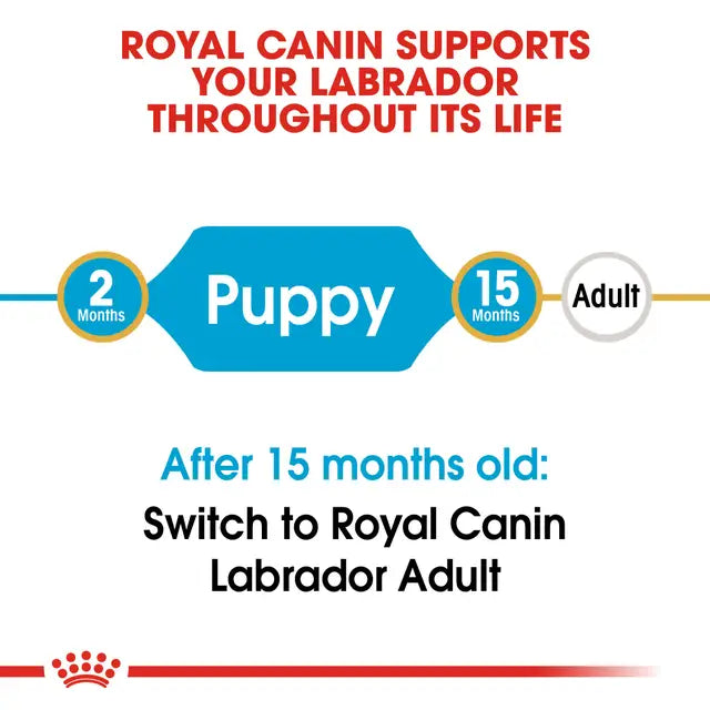 ROYAL CANIN Labrador Retriever Puppy Dog Dry Food
