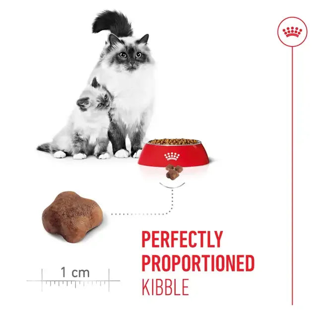 ROYAL CANIN Mother & Babycat Dry Cat Food