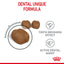 ROYAL CANIN Dental Care Adult Dry Cat Food